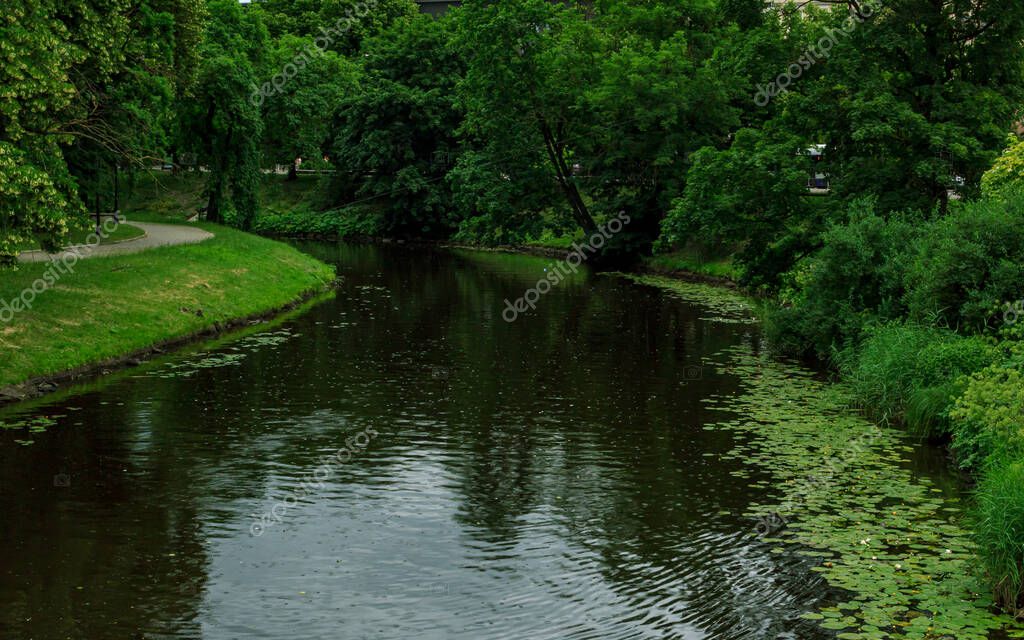 scudrinja