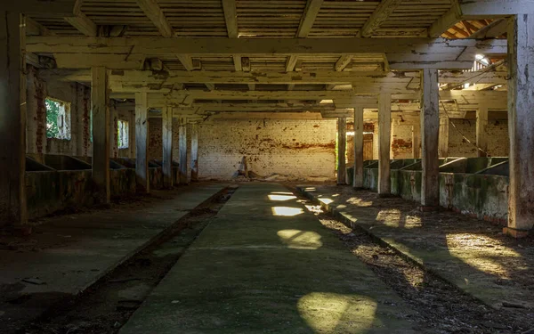 Eski çiftlik binası yapım aşamasında, terk edilmiş sığır beslenme odası