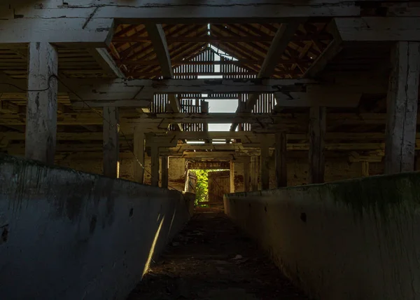Eski çiftlik binası yapım aşamasında, terk edilmiş sığır beslenme odası