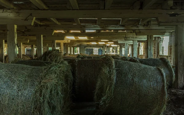 Old farm building under construction, place full of hay roll for animals silage food