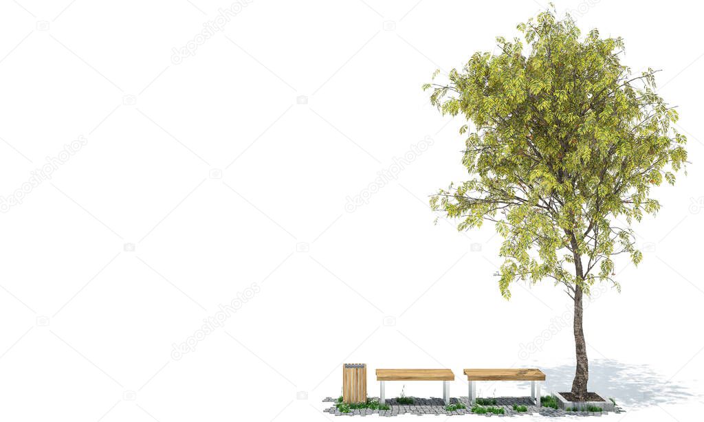 Park Benches Under a Tree on White Background