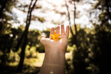 Elinde taze çiçek var.