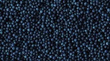 Arkaplanda yaban mersini 3D Renderleme Üst Görünümü