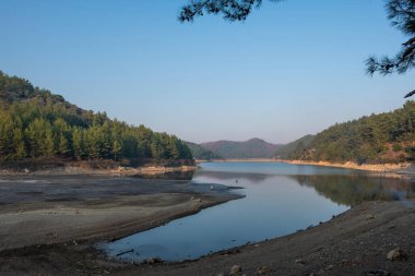 Çevrelenmiş Göl Ağaçlar ArkaplanıName