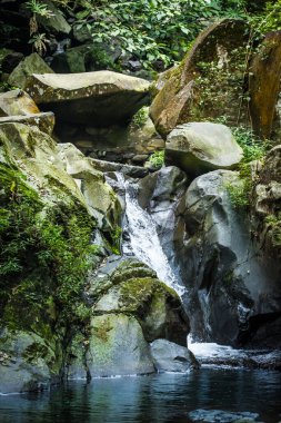 Ormandaki şelalenin güzel manzarası