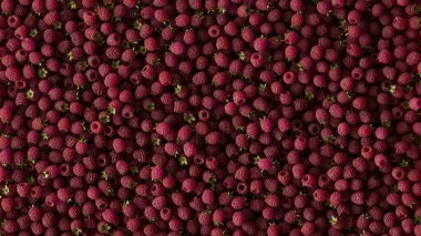 Üst Görünüm Ahududu 3B Hazırlama