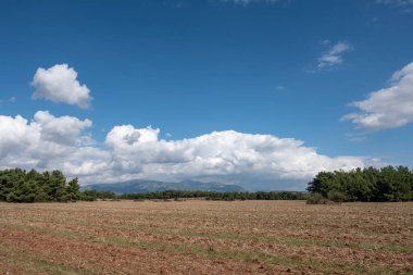 Sonbaharda Tilleli Arazinin Üzerinde Bulutlu Gökyüzü
