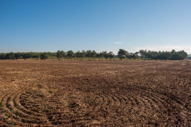 Arka planda Orman Tarlası Tarlası Tarlası