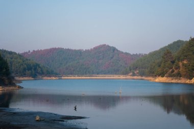 Çevrelenmiş Göl Ağaçlar ArkaplanıName