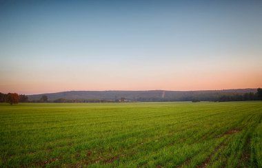 Gün batımında güzel yeşil alan