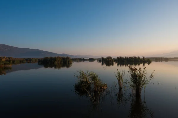 背景上的戏剧性湿地景观 — 图库照片