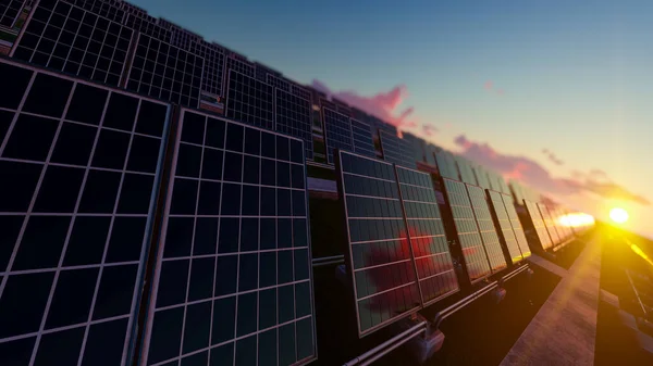 Solar Panels on Sunny Day 3D Rendering