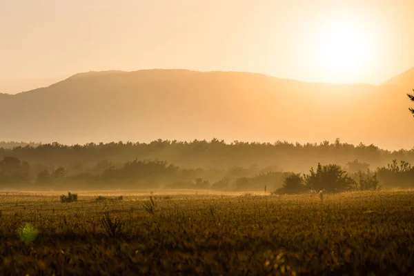 Tramonto Montagna Campo Grano Dorato — Foto Stock