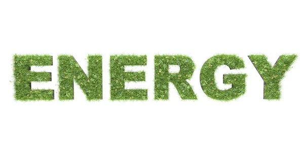 Rendering Enegy Text Grass Texture — Stock Photo, Image