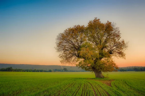 Paysage Coloré Coucher Soleil Sur Fond — Photo