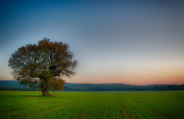 Paysage Coloré Coucher Soleil Sur Fond — Photo