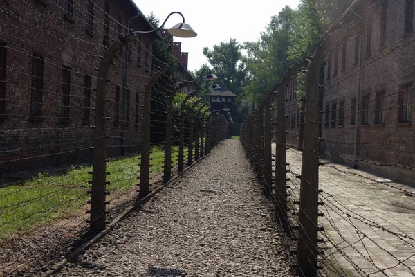 Auschwitz Laktanya Szögesdrót — Stock Fotó