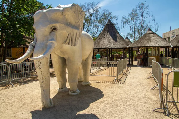 Safaripark Beekse Bergen Legnagyobb Állatkert Benelux Szigeteken Több Mint 1500 — Stock Fotó