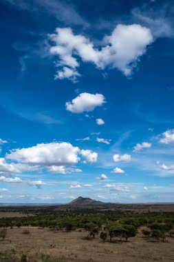 Serengeti, Tanzanya, 27 Ekim 2023. Mavi gökyüzü ile ovanın güzel manzarası