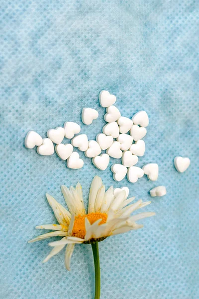 洋甘菊和药丸的形状心脏 天然成分制成的药物 — 图库照片