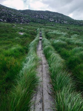 Dağın tepesine doğru olan aşınmayı önlemek için çimlerle çevrili ahşap yol.