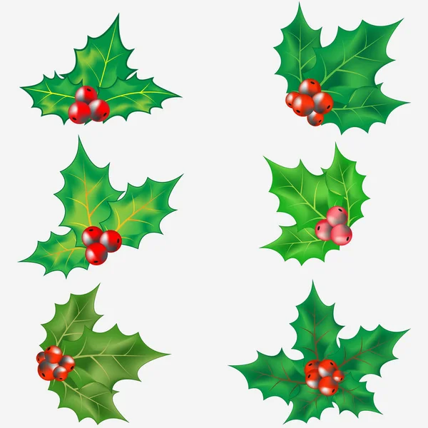 Christmas Holly Juego Navidad Acebo Para Decoración Hojas Verdes Bayas — Vector de stock