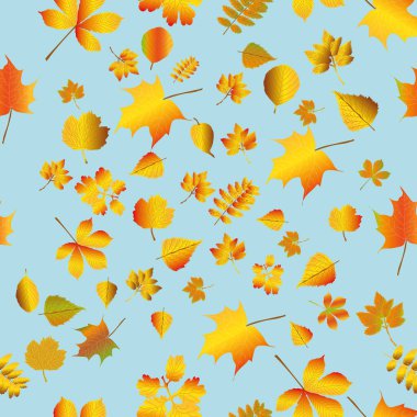 Sonbahar ikonları. Yapraklar zaten düşüyor. Mavi arka planda izole edilmiş doğanın vektör sembollerinin bir derlemesi. Desen