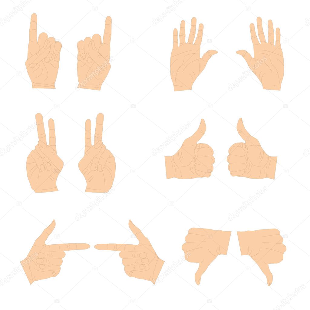 Various gestures of human hands isolated on a white background. Vector flat illustration of female hands in different situations. Vector design elements for infographic, web, internet, presentation.