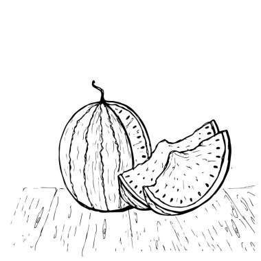 Elle çizilmiş karpuz resmi. Yemek çizimi çizimi. Klasik stil