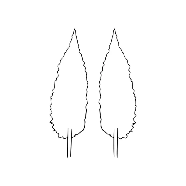 De plant is geïsoleerd op een witte achtergrond — Stockvector