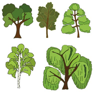 çeşitli ağaçların toplanması. Beyaz bir arkaplanda izole edilmiş