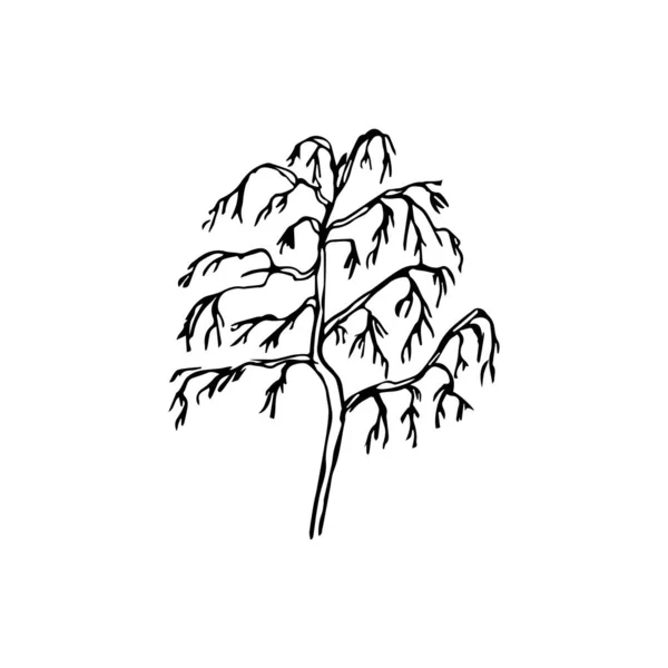 Silhuett Ett Träd Isolerad Vit Bakgrund — Stock vektor