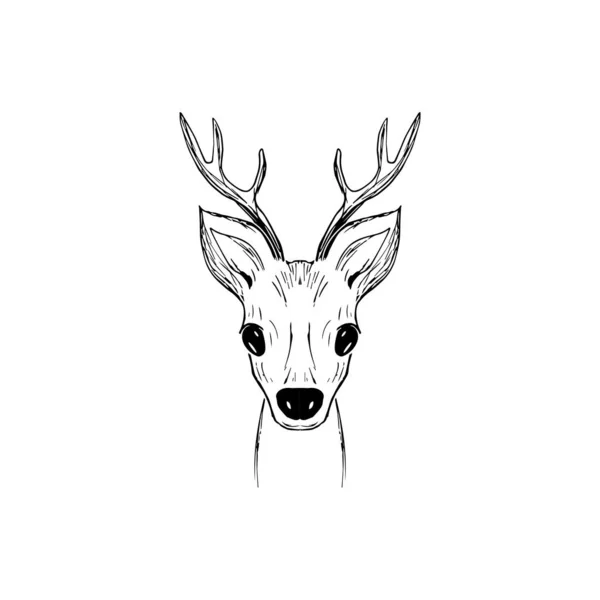 Hand Drawn Vector Fawn Head Isolated White Background Black White — Stock Vector