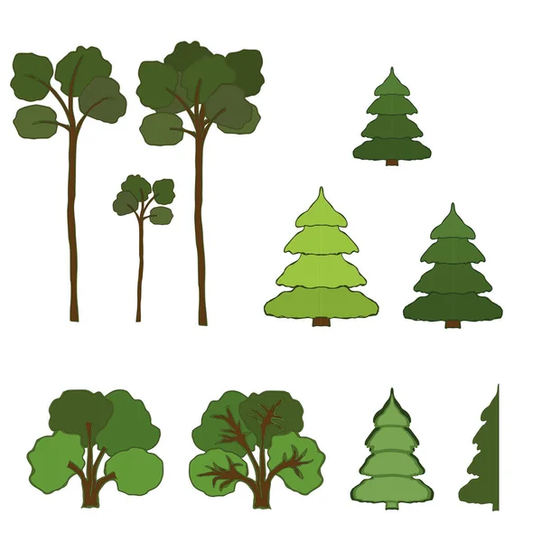 Collection Various Trees Isolated White Background — Stock Photo, Image