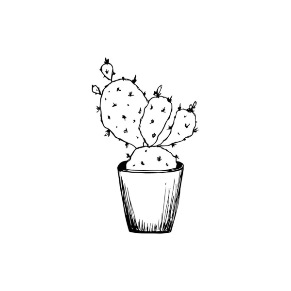 Línea Dibujo Continua Cactus Caseros Una Olla Ilustración Aislada Sobre — Vector de stock