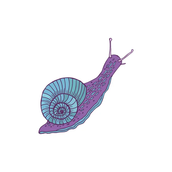 Escargot Bleu Lilas Personnage Dessin Animé Spirale Élément Décoratif — Image vectorielle