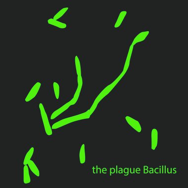 Veba Bacillus 'u mikroskop altında, veba, virüsler ve siyah arka planda izole edilmiş bakteriler. Bacillus Anthracis, patojen. Çubuk şeklinde, gram pozitif bakteri. Mikrobiyoloji.