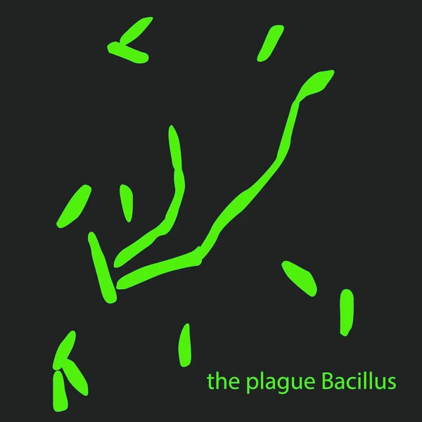 Veba Bacillus 'u mikroskop altında, veba, virüsler ve siyah arka planda izole edilmiş bakteriler. Bacillus Anthracis, patojen. Çubuk şeklinde, gram pozitif bakteri. Mikrobiyoloji.
