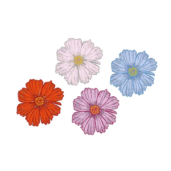 Kosmetikblumen durch Zeichnung von Vektorillustration und Cliparts. — Stockvektor