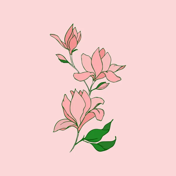 Magnolia flores con un patrón lineal sobre un fondo rosa. — Archivo Imágenes Vectoriales