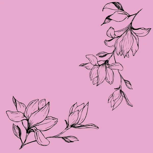 Dibujo Conjunto Flores Magnolia Boceto Con Patrón Lineal Sobre Fondo —  Fotos de Stock