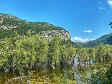 Dağlarda ağaçları olan bir göl.