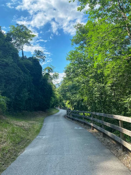 stock image road in the forest in Italy 