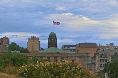 McGill Üniversitesi bayrakları rüzgarlı bir günde havada dalgalanır. Arka planda bulutlu mavi bir gökyüzü ve bir bahçe önplanı vardır.
