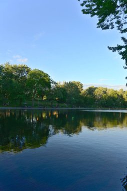 Göldeki su, La Fontaine Park, Montreal, QC, Kanada 'daki ağaçların ve bulutların yansımalarının dikey oryantasyonu