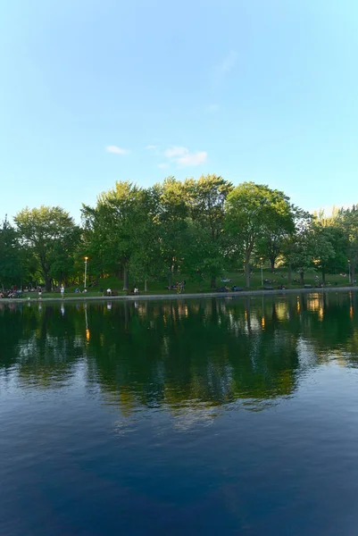 Vertical Orientation Reflections Trees Clouds Lake Water Fontaine Park Montreal — Stock Photo, Image