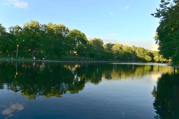 Reflektioner Träd Och Moln Sjön Vatten Fontaine Park Montreal Kanada — Stockfoto