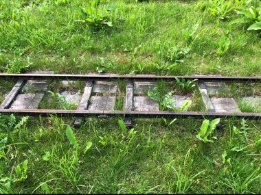 Terk edilmiş eski raylar. Paslı raylar otla kaplanmış. Boyasız, fayanssız görünür uykucular. Parktaki çocuk treninin rayları kapalı..