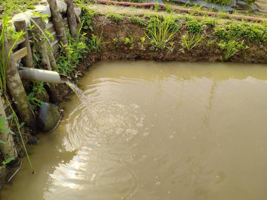 Yapay bir gölette kubbeli su yayan bir çeşme.
