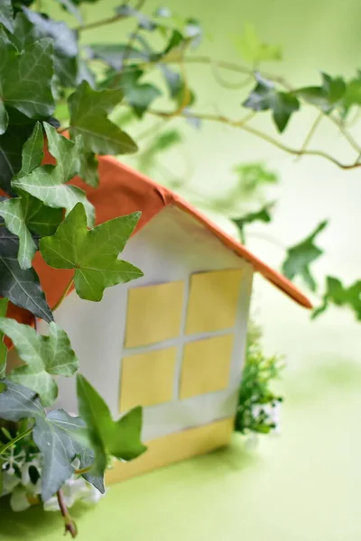 Eco friendly, paper house in green background, ivy leaves (Hedera Helix) spring leaves, investment concept, real estate abstract, pastel green, home sweet home, new house, love home, sunny